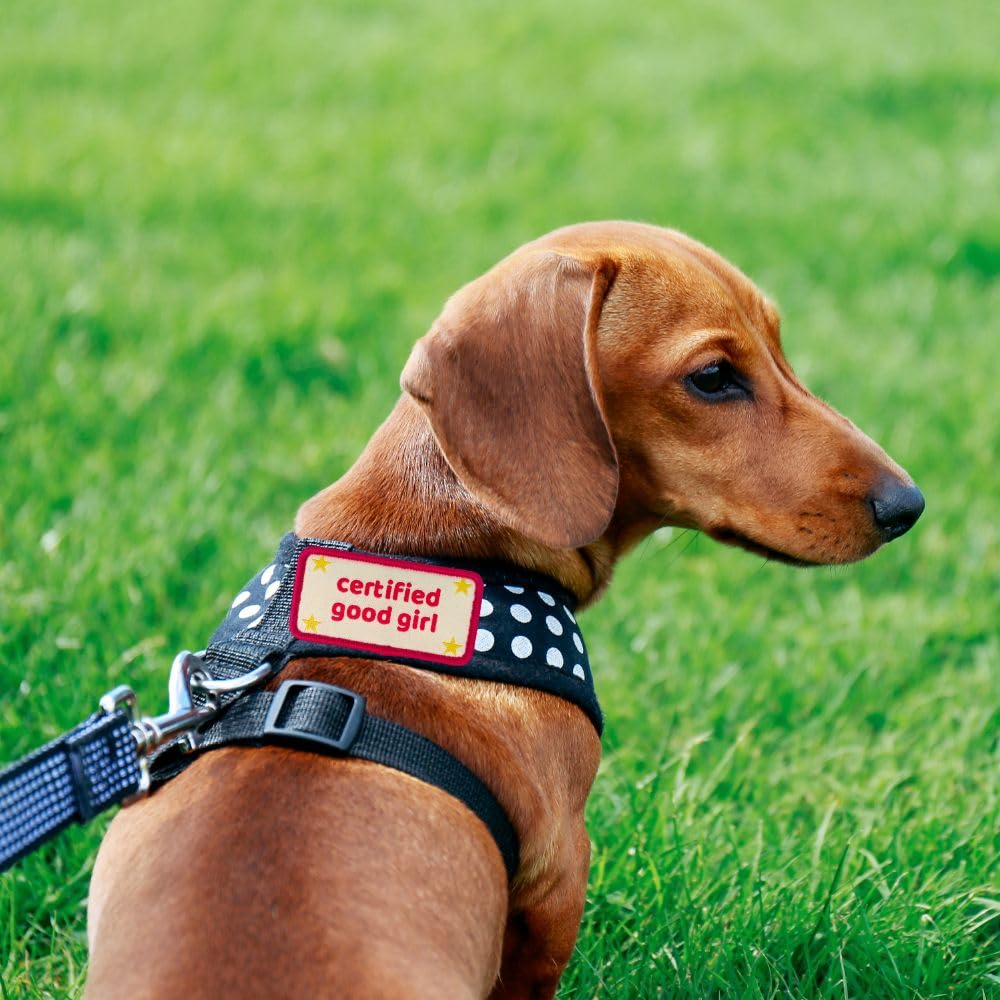 YJ PREMIUMS embroidery closeup shows quality stitching and durability.