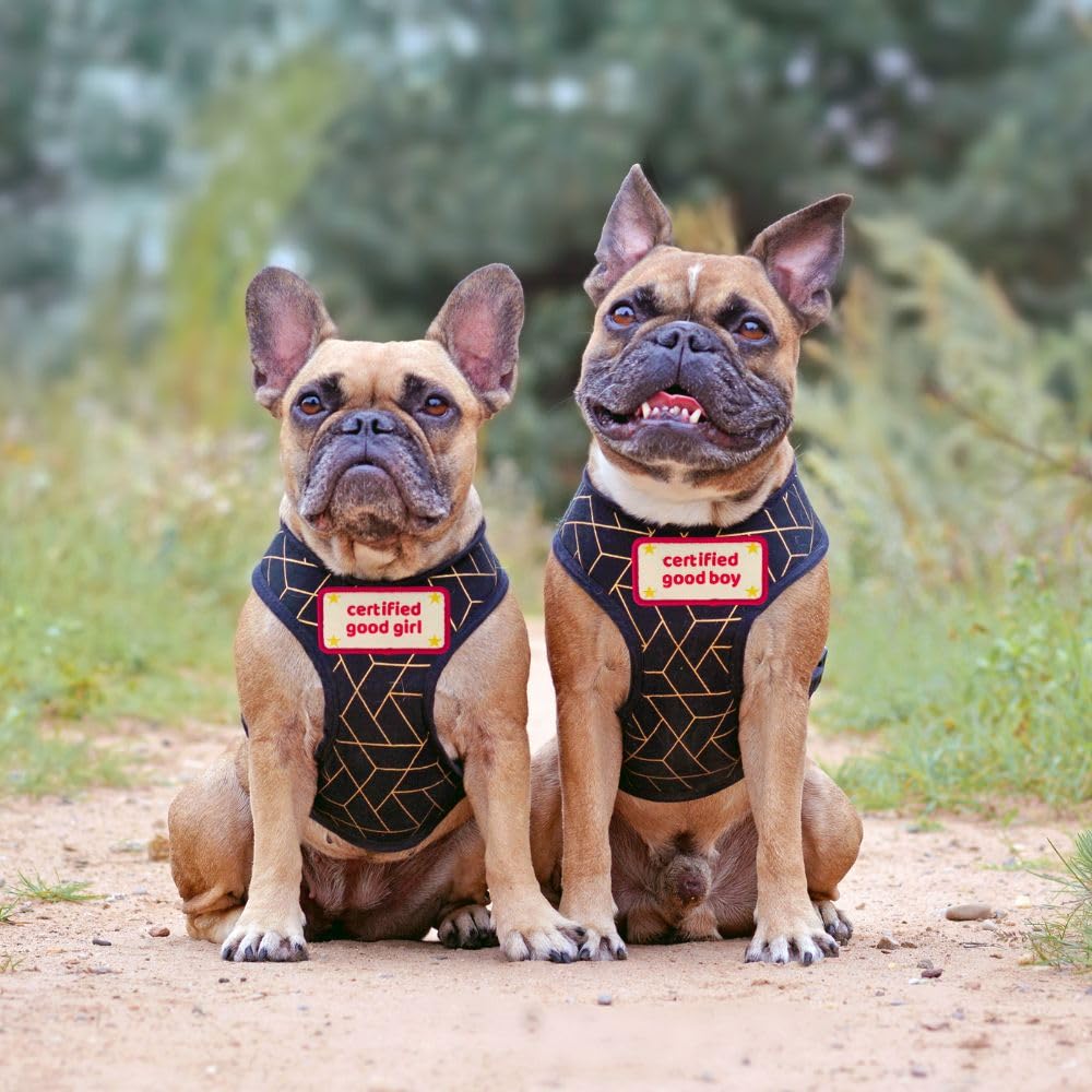 YJ PREMIUMS funny patch makes a thoughtful gift for dog lovers.