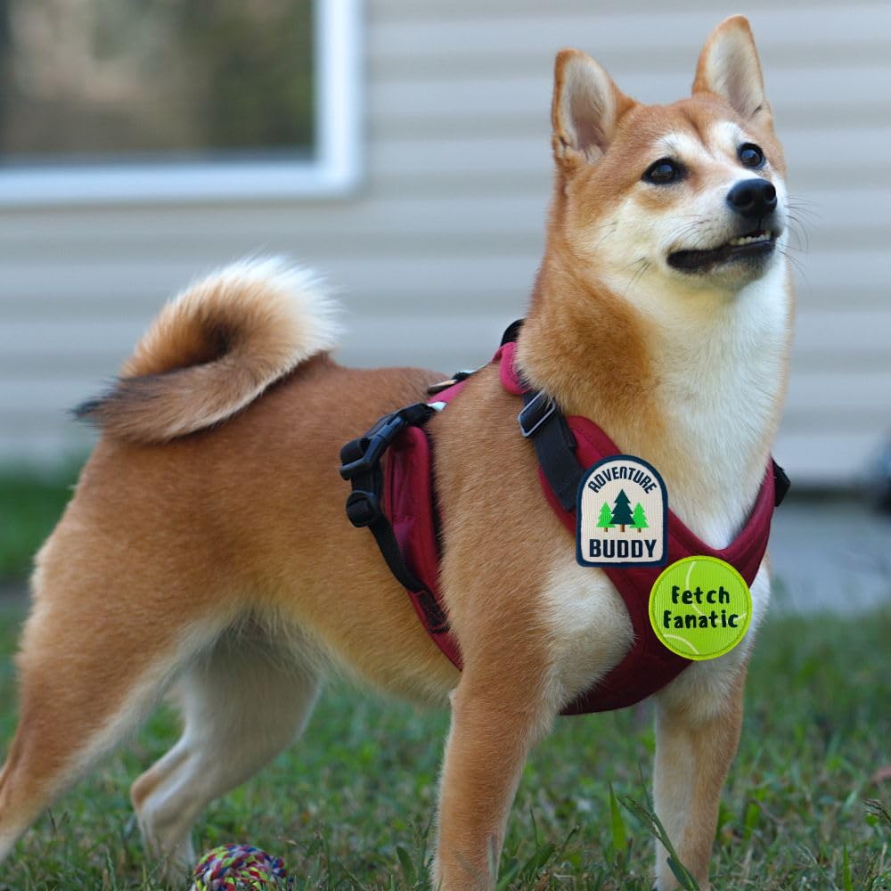 YJ PREMIUMS versatile collection works as gifts or personal style updates.