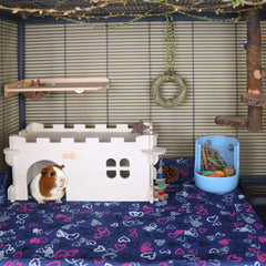YKD Castle Chinchilla House rooftop view shows enrichment space with snacks.
