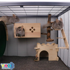 The YKD chinchilla house roof hideout highlights enrichment possibilities with treats.