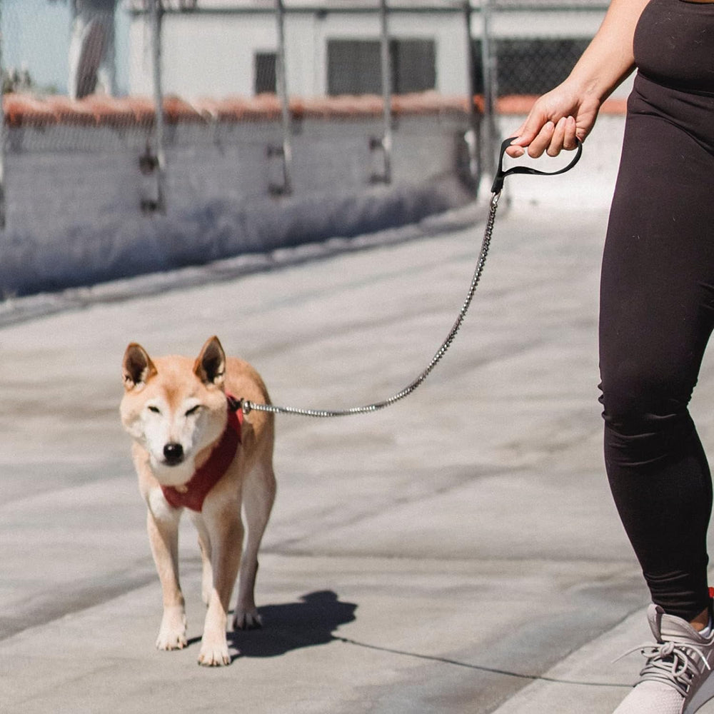 YKISIL chain leash suitable for large dogs with confident control.