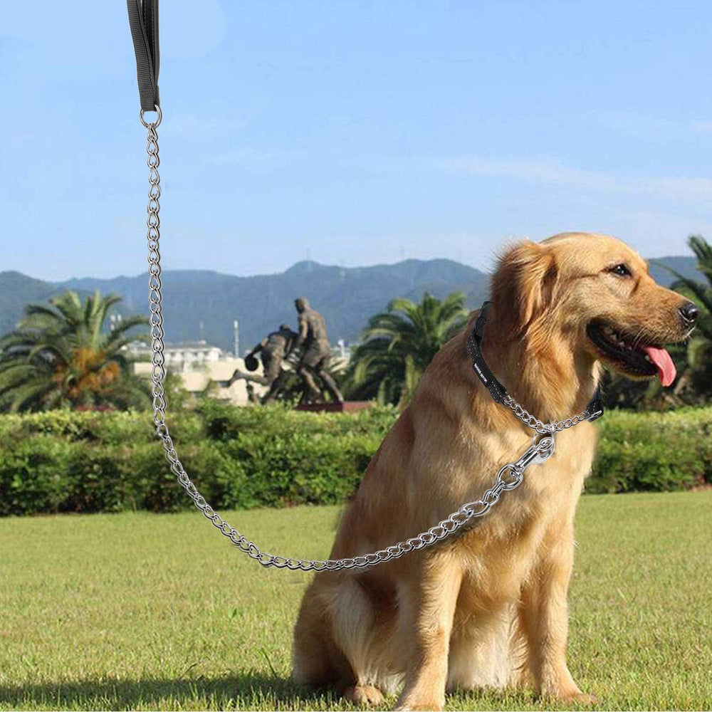 YKISIL lightweight leash enables easy handling on quick walks.