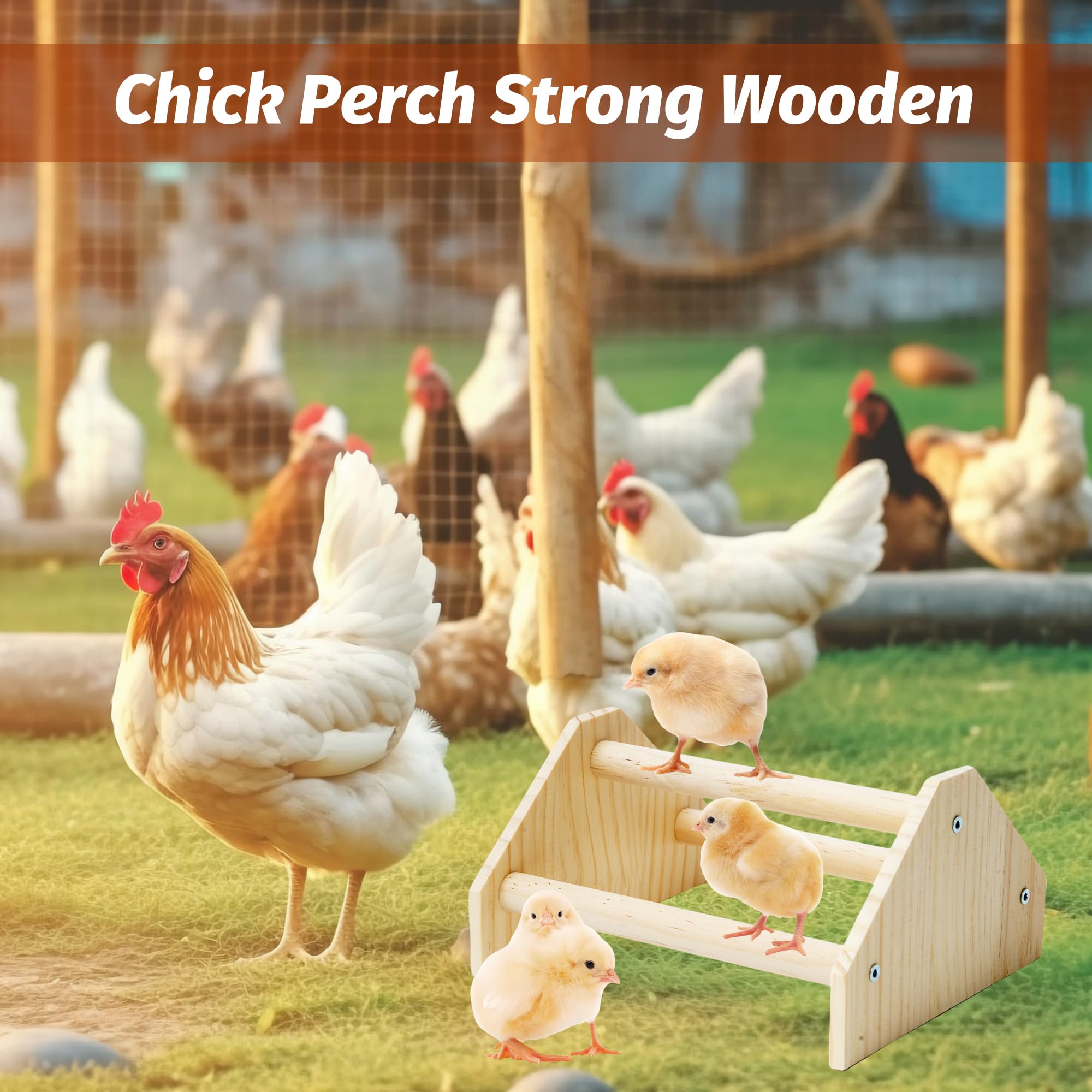 YLSURNY chicken perch bird on perch demonstrates versatile use.