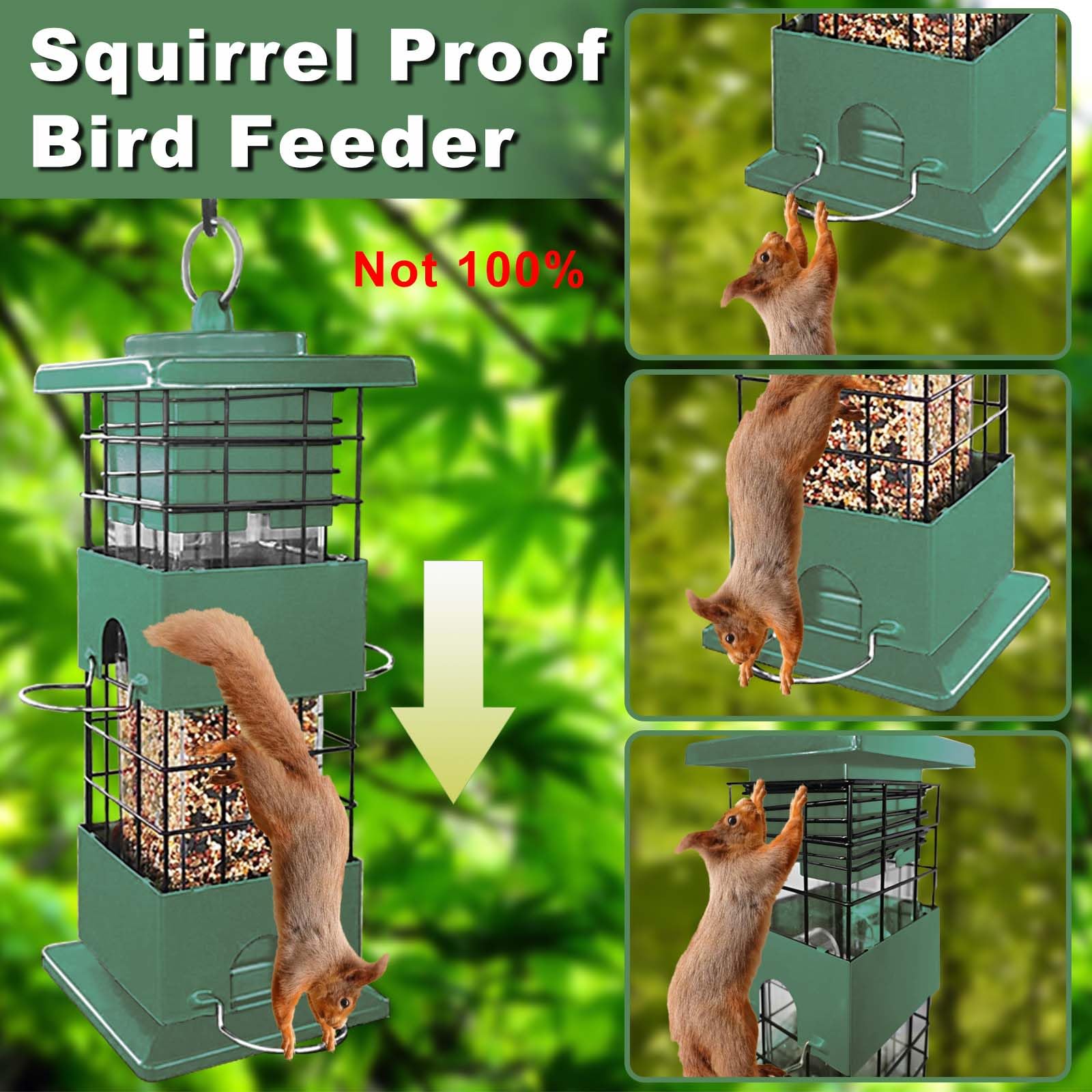 YLTIMER Bird Feeder mechanism closeup highlights weight-activated protection against squirrels.