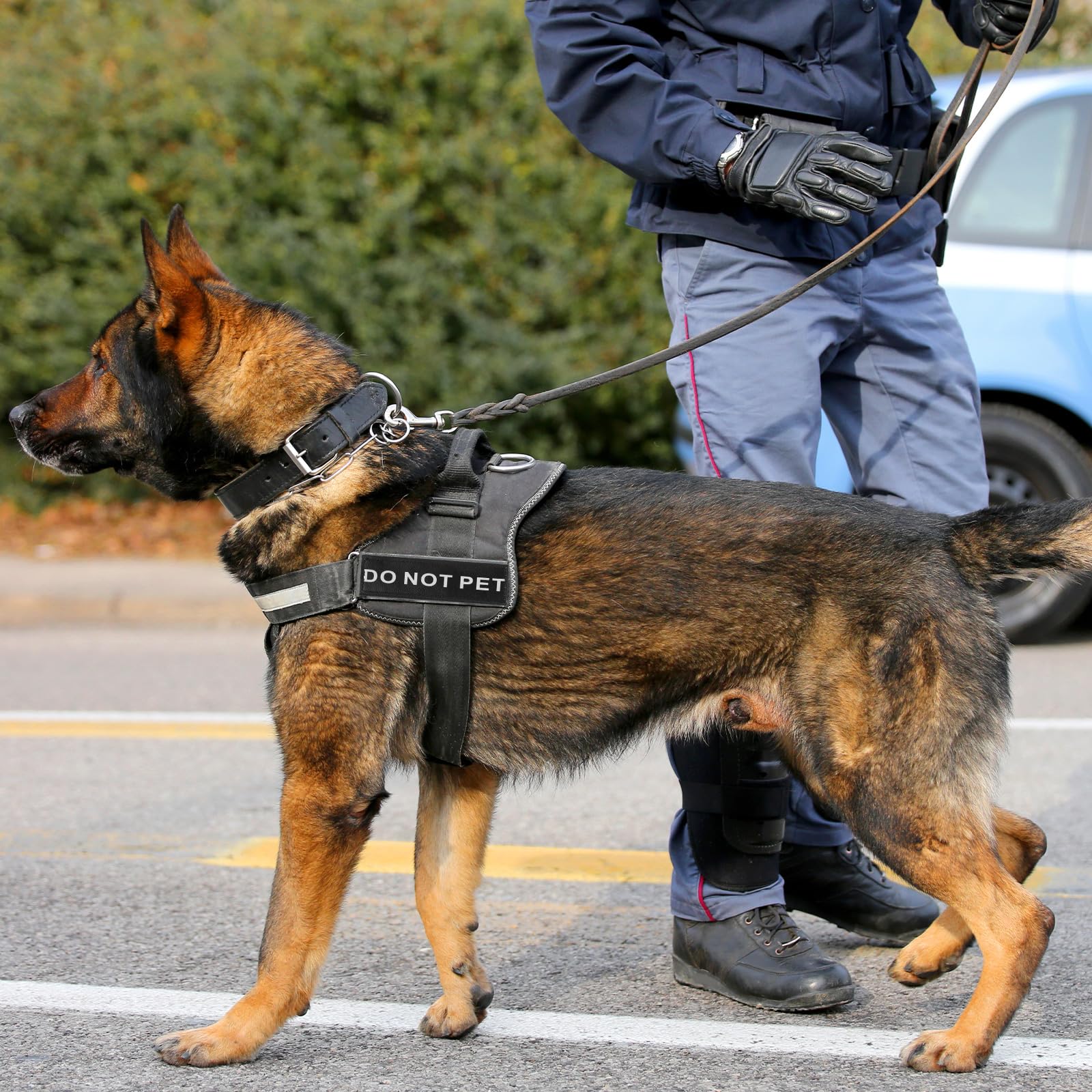 Ymapinc service dog patch durable PU material for outdoor wear