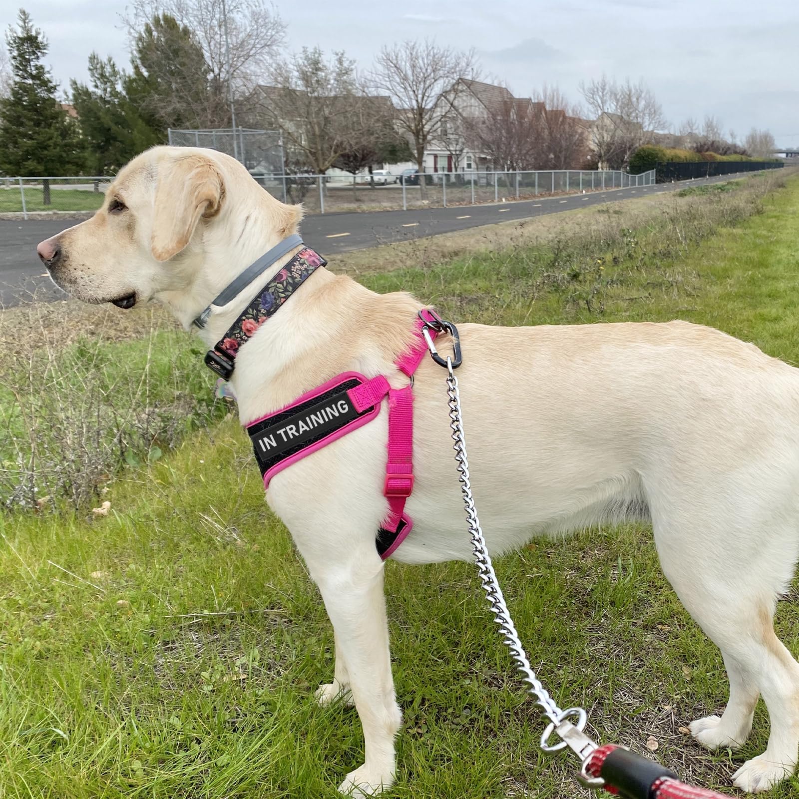 Ymapinc service dog patch easy to install and remove with hook-and-loop