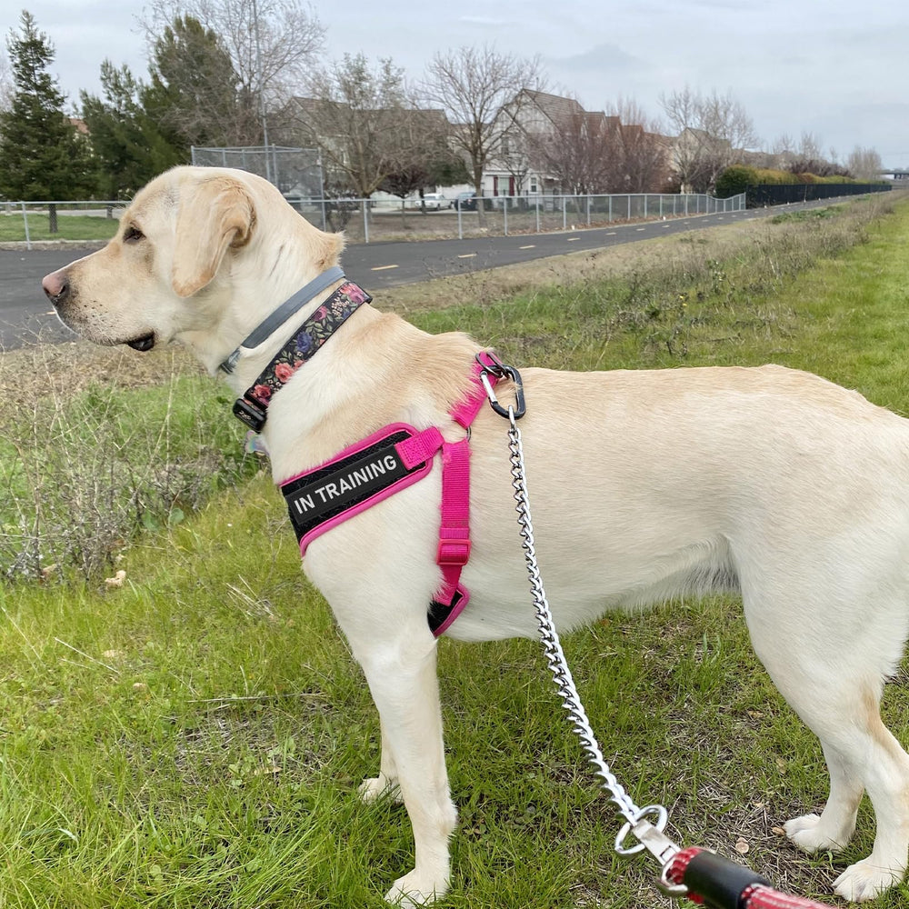 Ymapinc service dog patch easy to install and remove with hook-and-loop