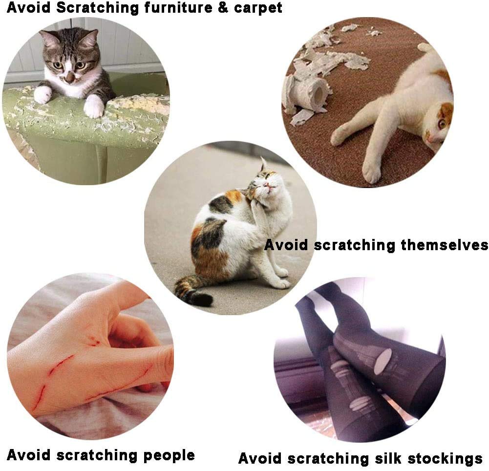 YMCCOOL cat nail caps fit on cat nails for kittens and adults with flexible sizing.