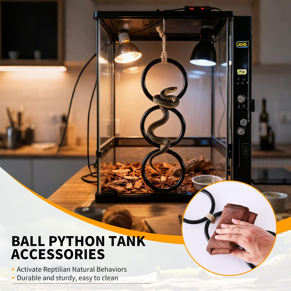 YNSHOUNA interlocking triple rings paths illustrate versatile movement for reptiles