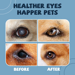 Yocisku Cataract Drops bottle with dropper for easy care