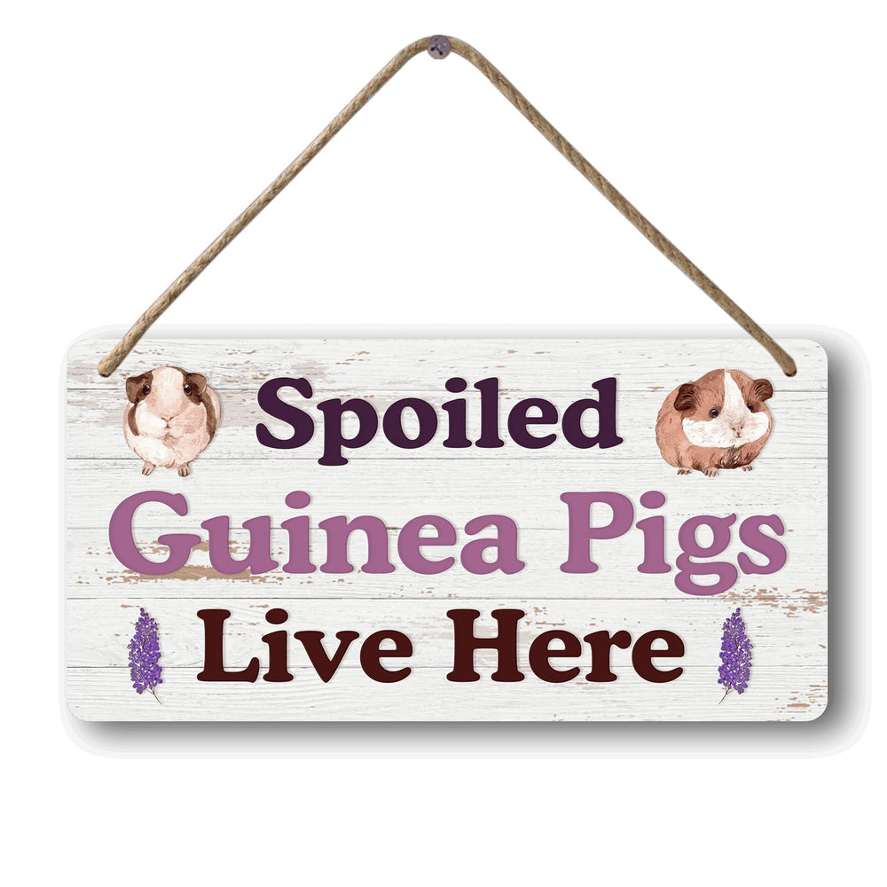 Yoecod big hamster ball hideout sign front view for guinea pig cage decor and personalization.