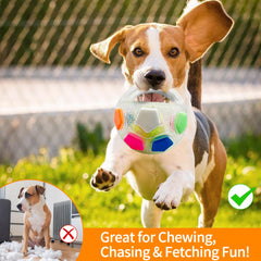 YoFellas dog toy ball floating on water for pool and lake fun