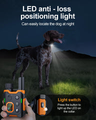 YOGAL two-channel system trains two dogs simultaneously