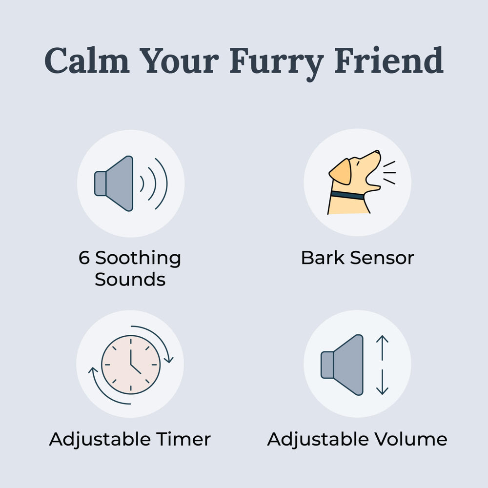 Yogasleep Pawzz on a coffee table helps dogs relax during downtime.