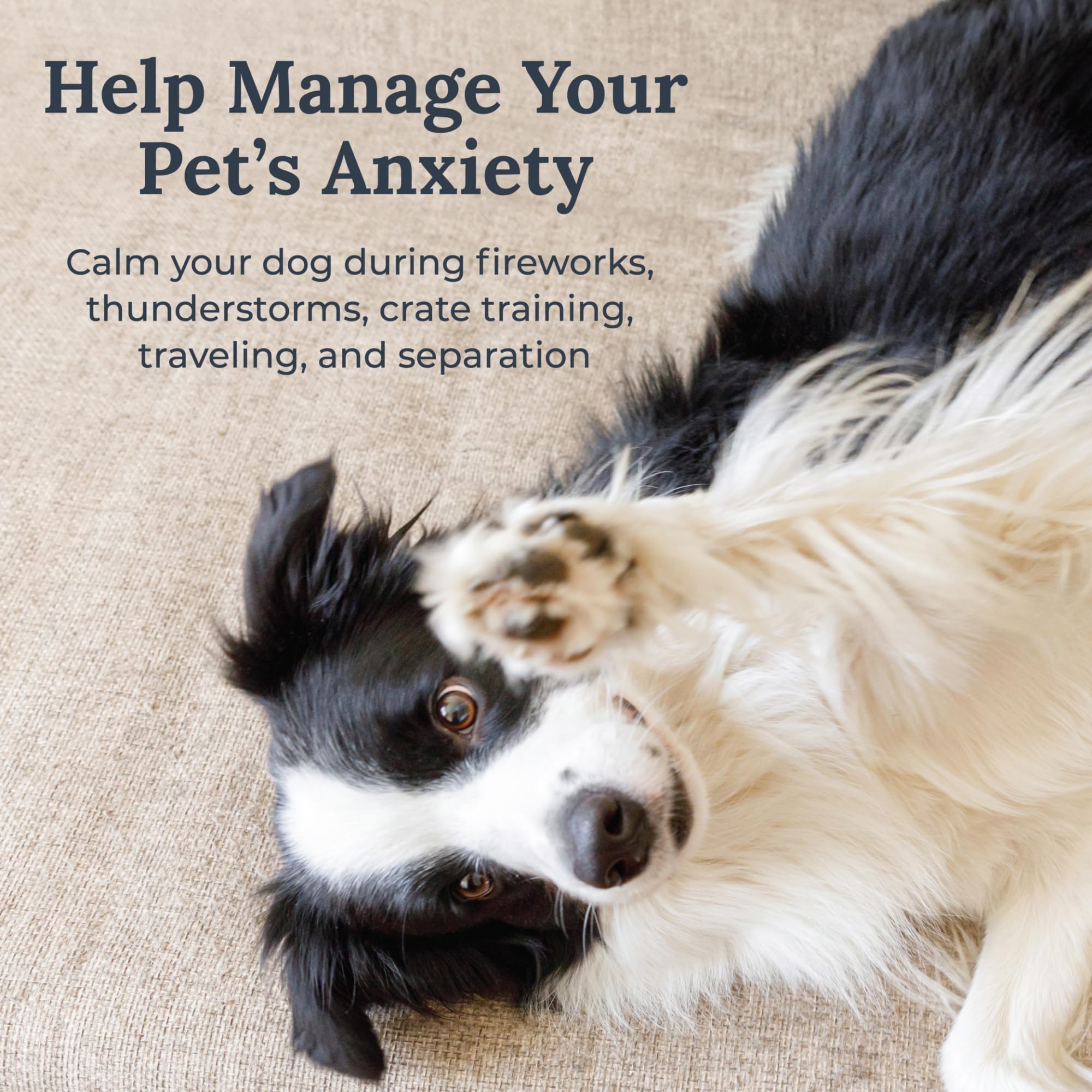 Yogasleep Pawzz six-sound options provide varied relaxations for dogs.