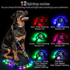 Yoheueoa LED dog leash with 12 light modes demonstrates color selection for visibility.