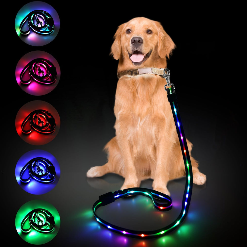 Yoheueoa LED dog leash night walk setup shows bright illumination for safety.