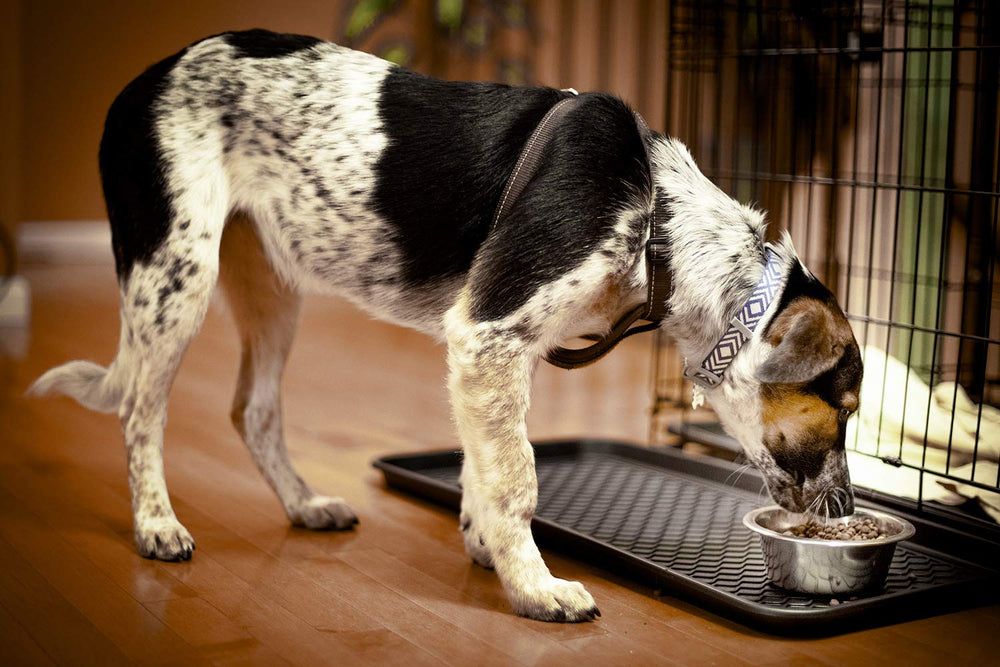 Yolju trays in garage or laundry area for organization.