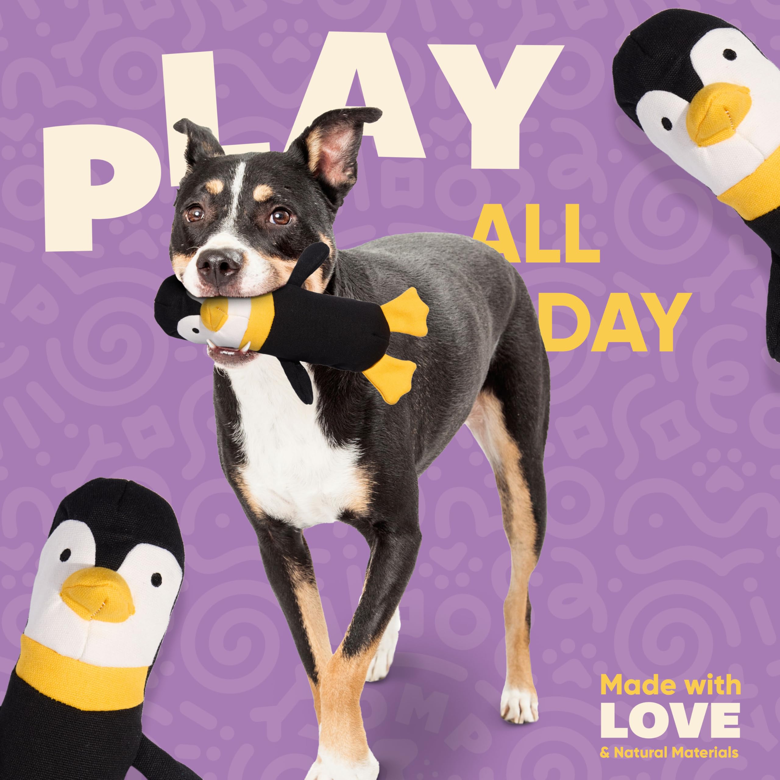 Yomp Penguin Dog Toy indoor play shot demonstrates tug-friendly, snuggly companionship during games.
