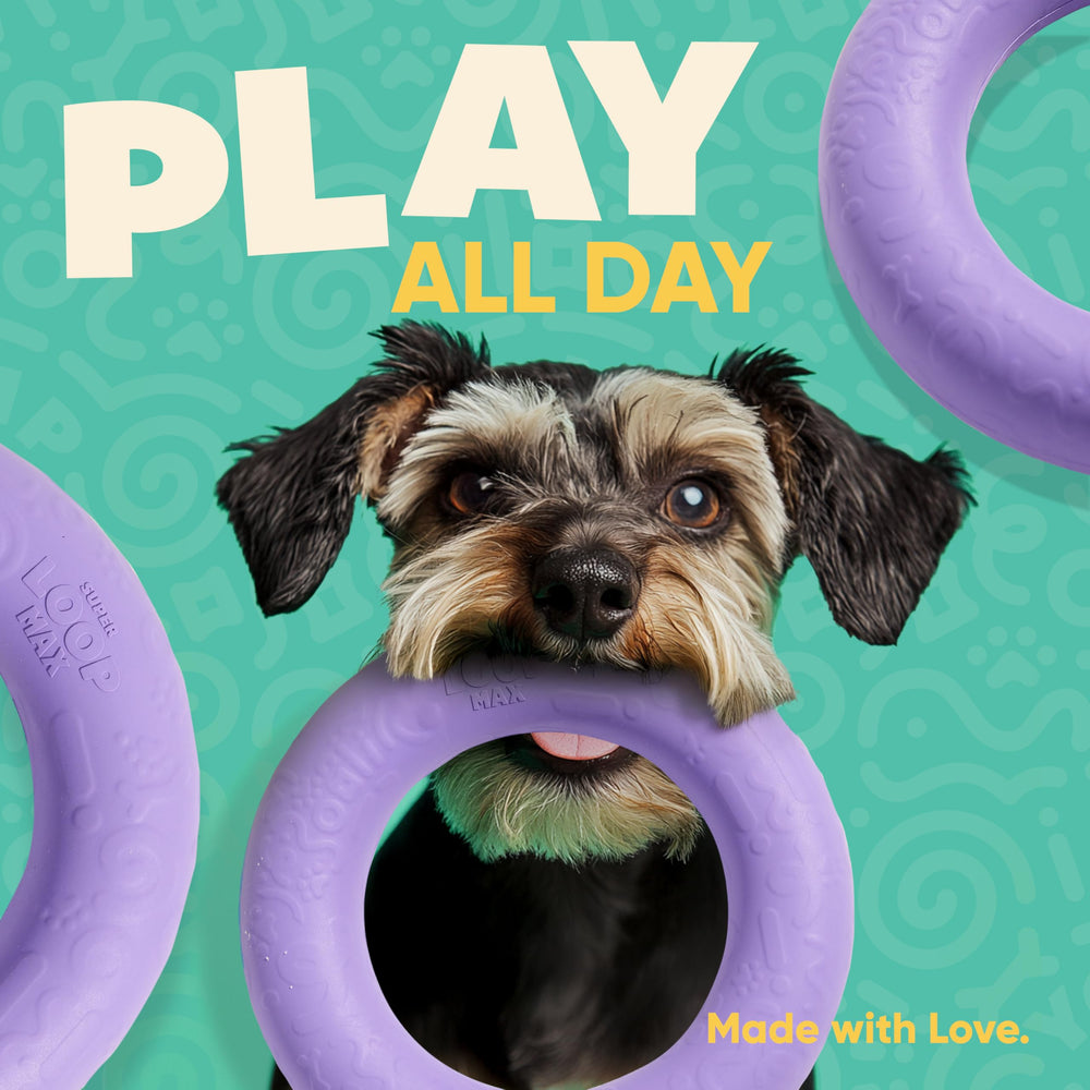 Yomp SuperLoop Max dog chew ring is easy to clean after playtime via dishwasher.