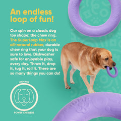 Yomp SuperLoop Max dog chew ring ready for fetch and rolling fun outdoors.