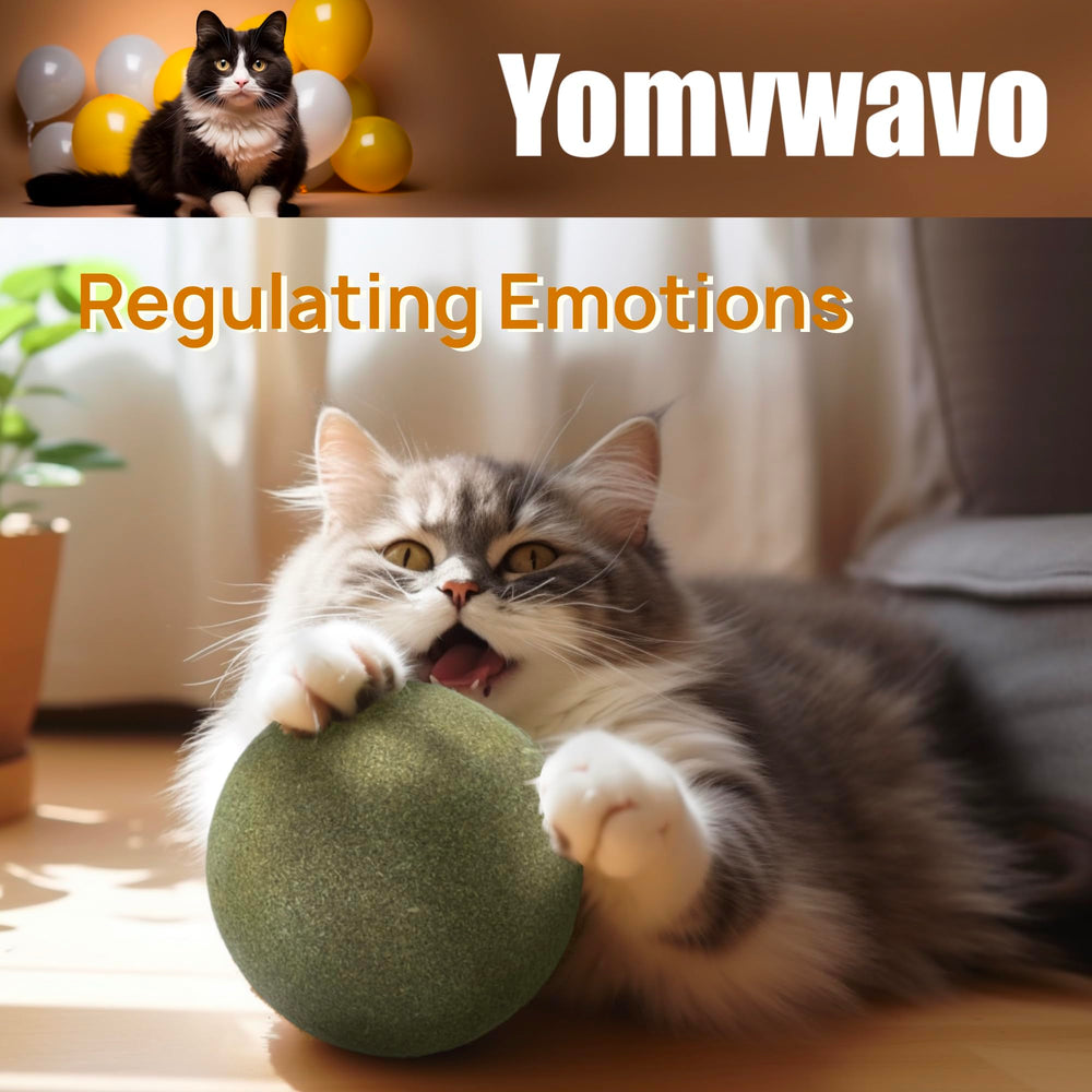 Yomvwavo catnip ball promoting gentle digestive comfort during play.