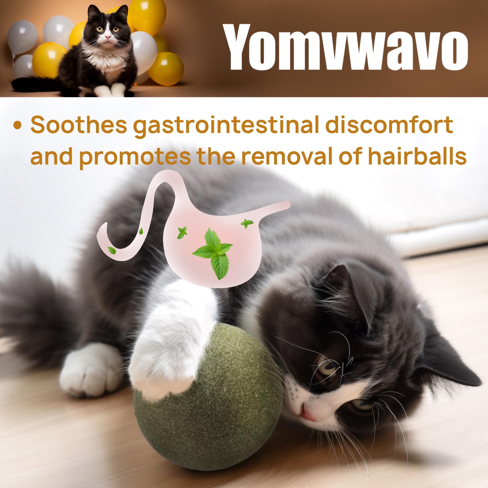Yomvwavo catnip ball used for stress relief during car rides.