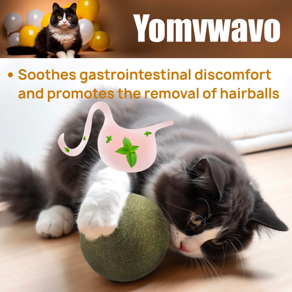 Yomvwavo catnip ball used for stress relief during car rides.