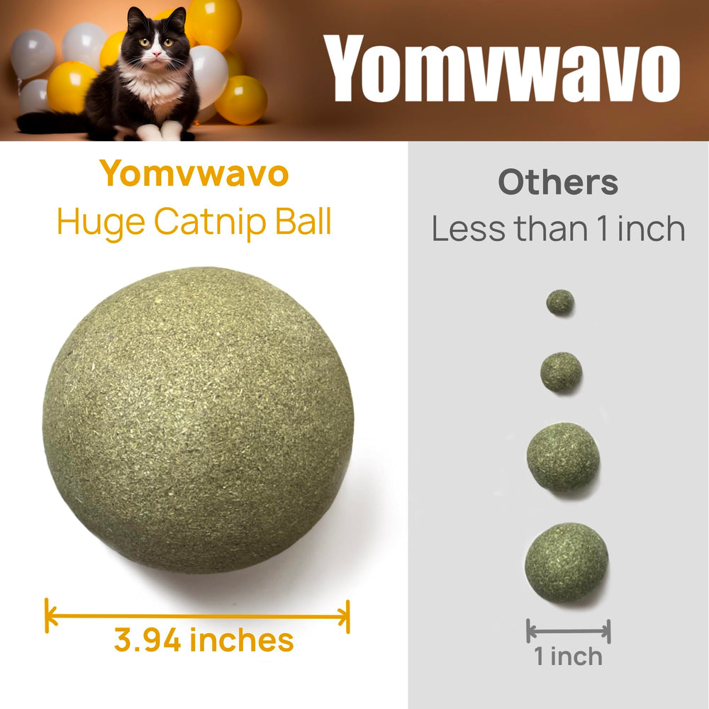 Yomvwavo jumbo catnip ball in action with a cat playing.