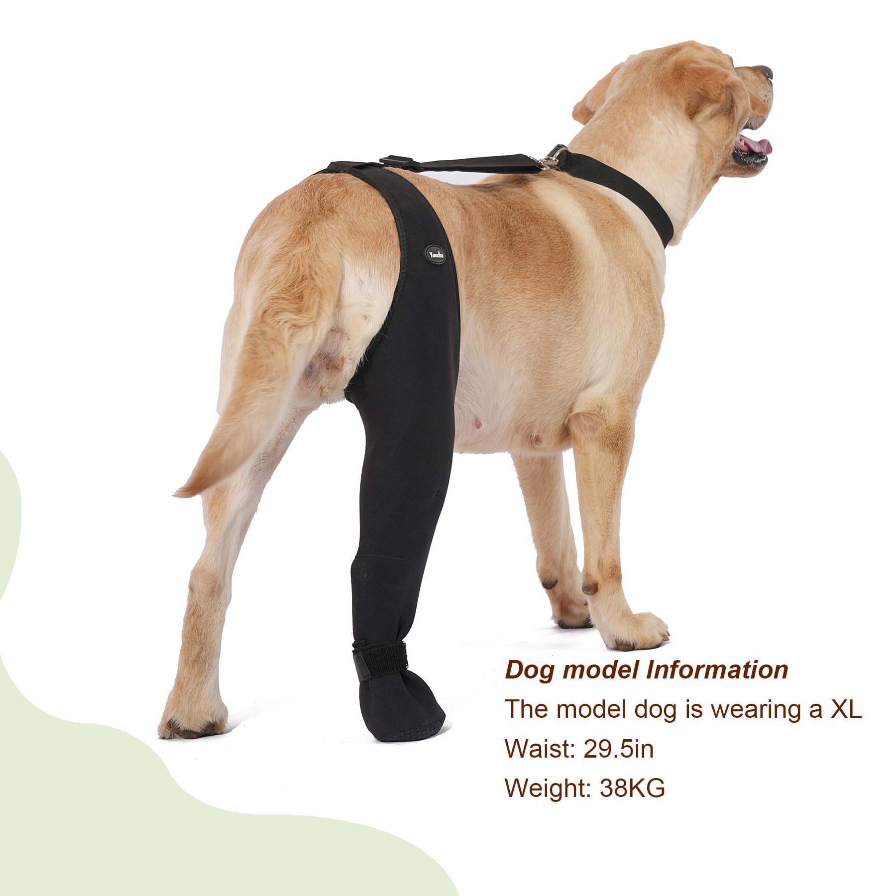 Yoneba paw-protectors-dog-socks stay-on during walks and play.