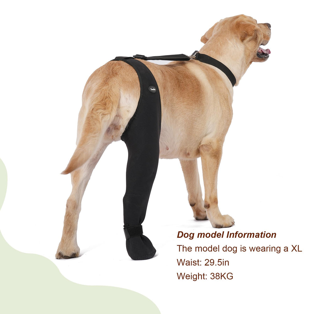 Yoneba paw-protectors-dog-socks stay-on during walks and play.