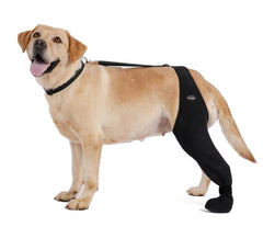 Yoneba dog socks paw-coverage-on-dog keep paws dry and help prevent licking during play.