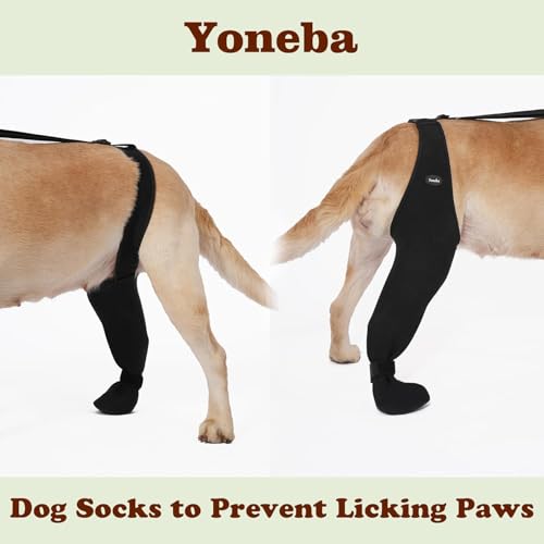 Yoneba dog socks ultra-soft material closeup caring for paw pads