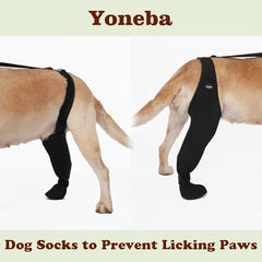 Yoneba dog socks ultra-soft material closeup caring for paw pads