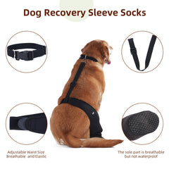 Yoneba secure-fit-dog-paw-cover demonstrates reliable stay-on during activities.