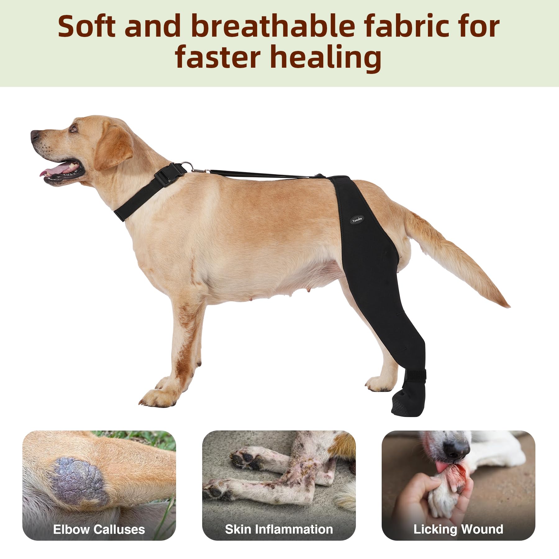 Yoneba dog-recovery-sleeve-various-sizes offers tailored fit for different breeds.