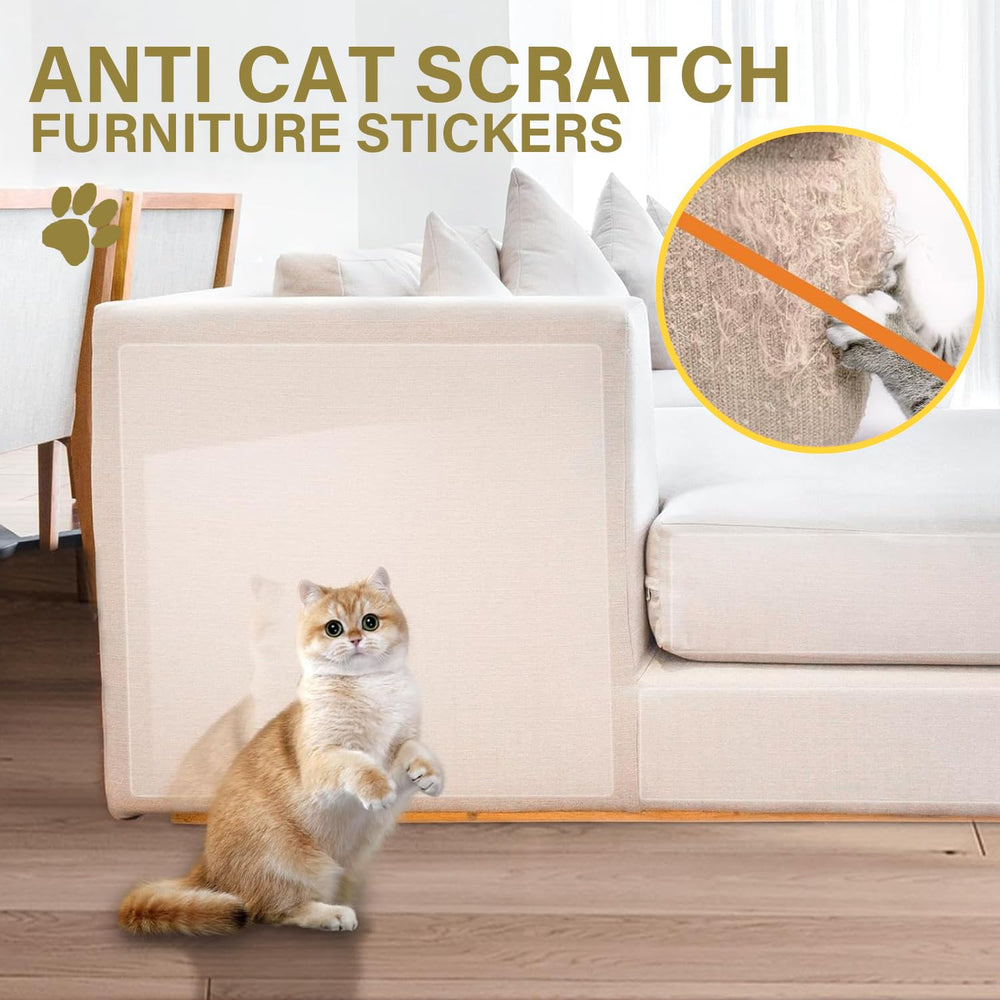 Yongjoy-pet-training-scratching-guide helps channel claws toward approved spots