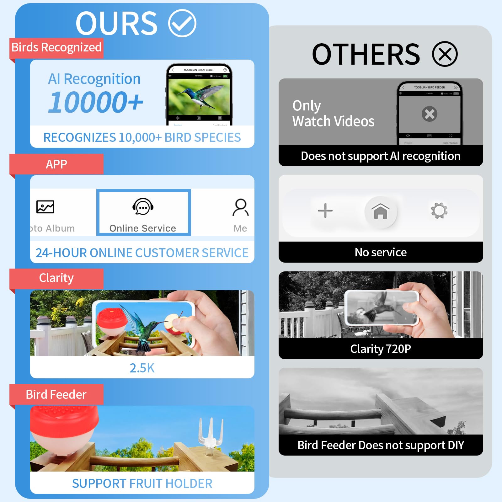 YOOBLIAN 2.5K HD video delivers crisp daytime footage of feathery visitors.