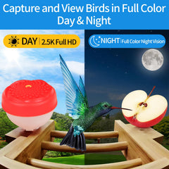 YOOBLIAN color night vision captures vivid detail after dark for extended observation.