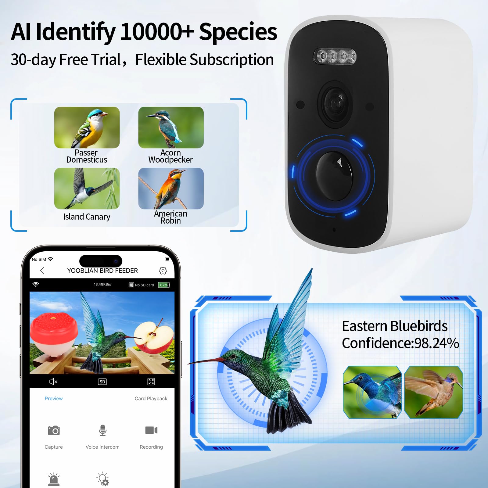 YOOBLIAN multi-section design includes perch, hummingbird box, and fruit fork.