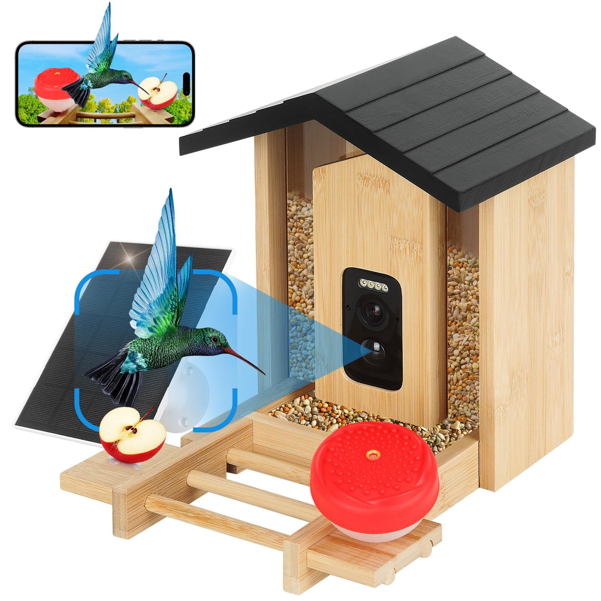 YOOBLIAN solar-powered camera bird feeder captures backyard birds for real-time viewing.