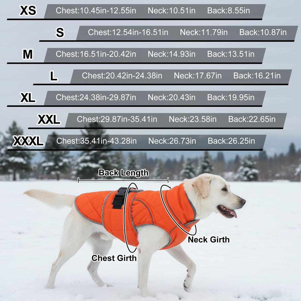 Yoochee reflective strips enhance nighttime visibility for safe, well-lit walks.