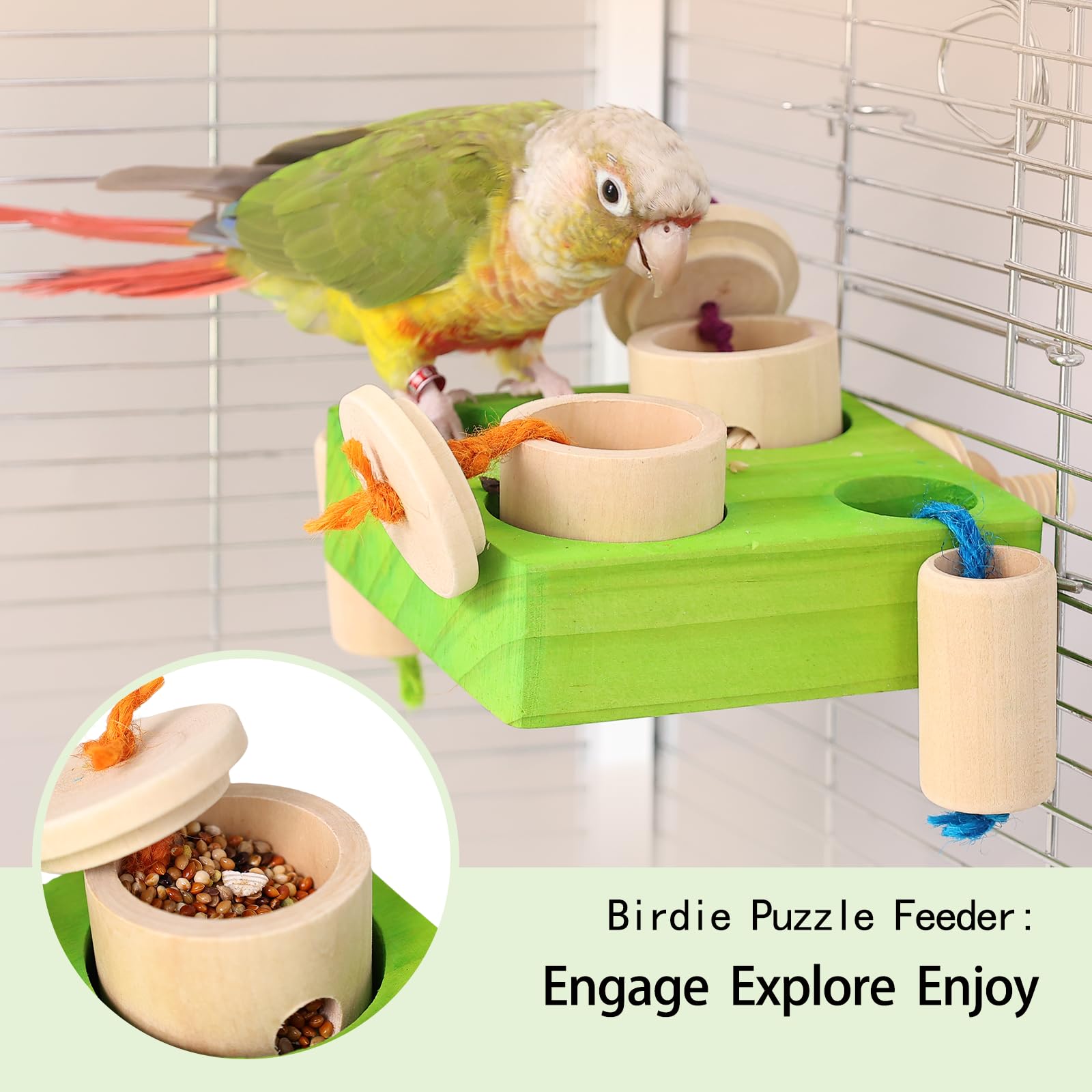 YOOSO WING Birdie Puzzle Feeder offering rest and play for parrots