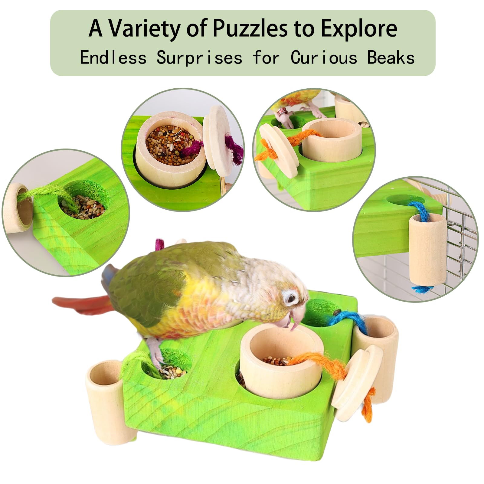 YOOSO WING Birdie Puzzle Feeder easy to install on cages for quick setup