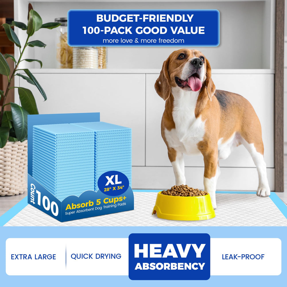 YOPETKI pads indoor-outdoor-use arranged in living room setup