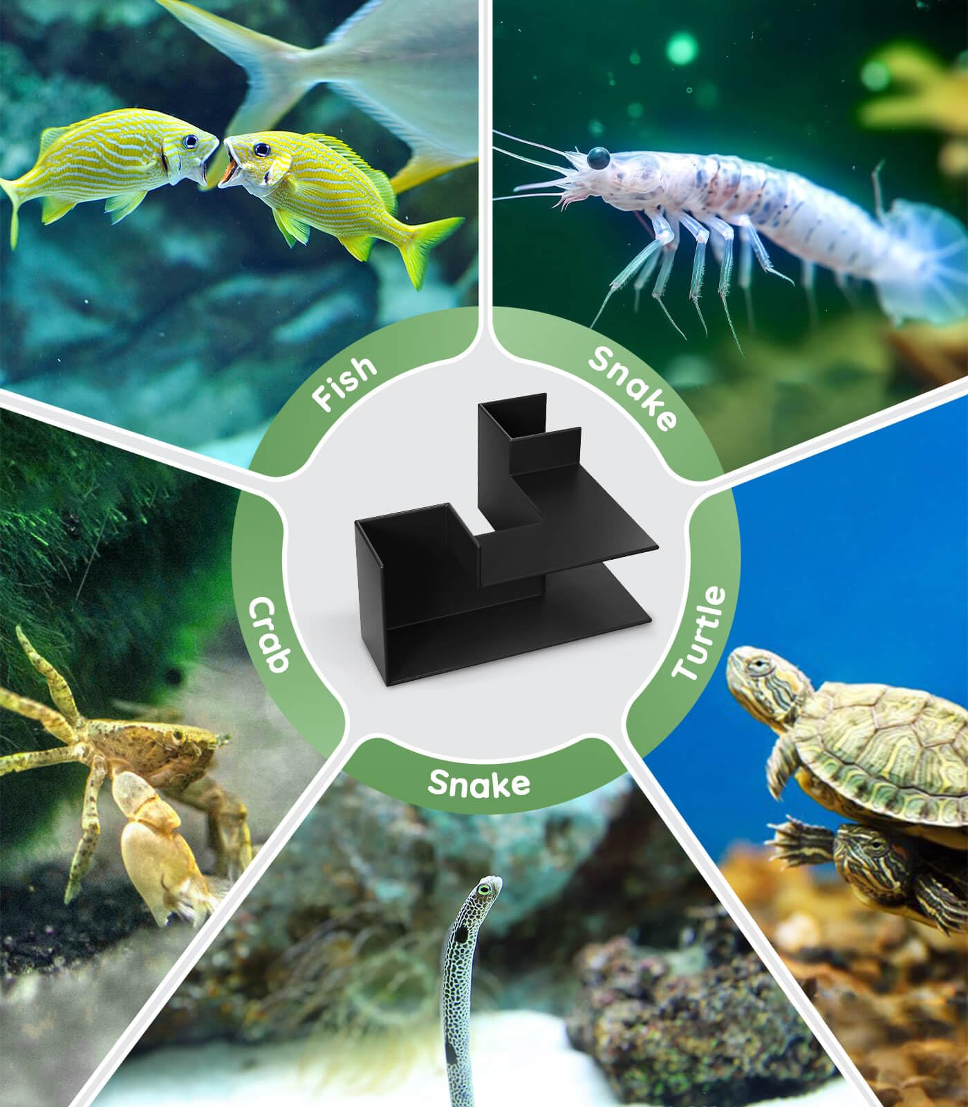 Yopetox shrimp cave tunnel adds hiding spots and ecological variety.