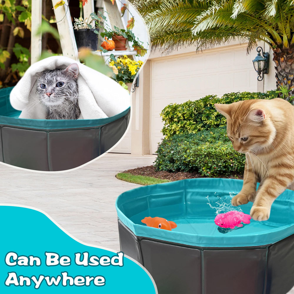 Yopetox cat enrichment fun captures self play and mental stimulation.