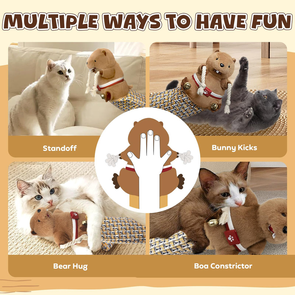 YoPoll Cat Wrestling Glove in-use scene capturing bonding and exercise moments with cat