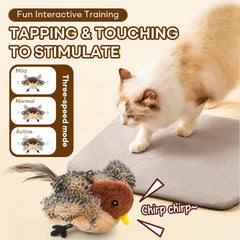 YoPoll rechargeable bird toy with USB-C charger for eco-friendly endless play